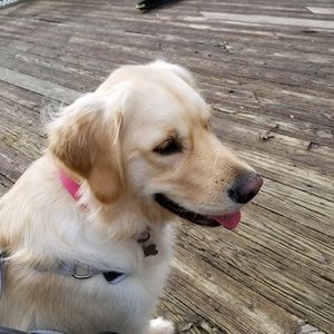 Meet your Posher, Erin